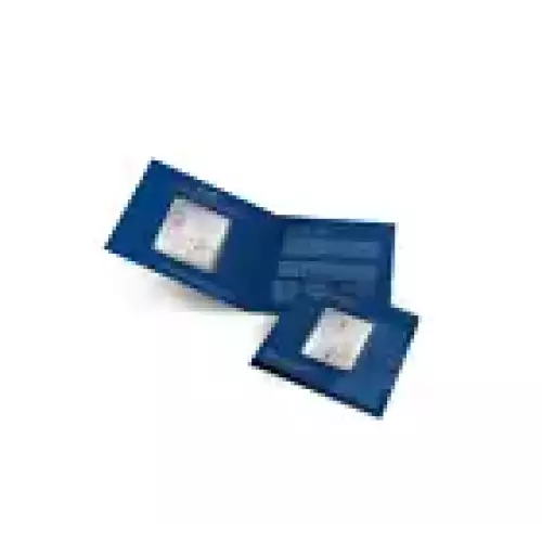 MMTC-PAMP BANYAN TREE 100 GRAMS BAR- SKU# A039 (2)